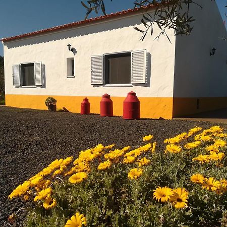 Monte Quinta Verde Ferreira Do Alentejo Bagian luar foto