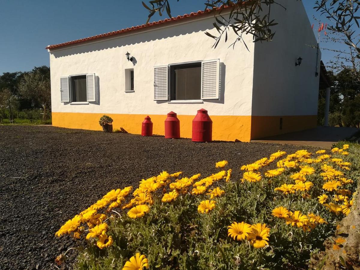 Monte Quinta Verde Ferreira Do Alentejo Bagian luar foto
